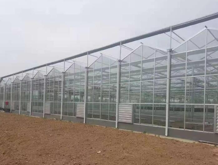 PC薄膜溫室大棚可以防風(fēng)嗎？